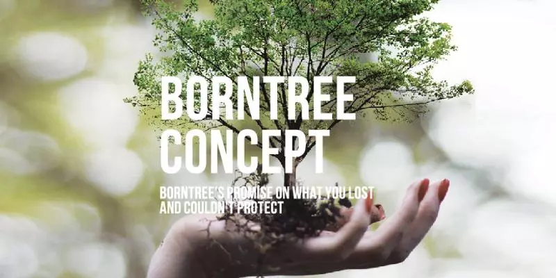 Обзор нового бренда BORNTREE